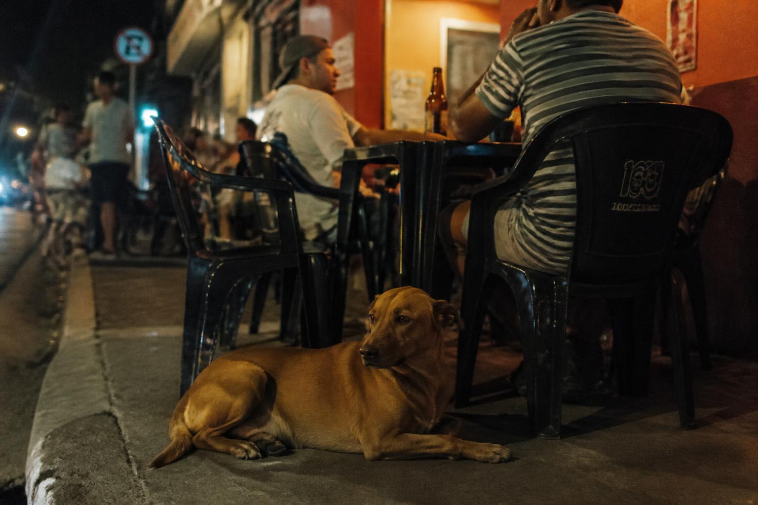 Cachorro caramelo deitado na calçada ao lado das mesas de plástico de um bar de esquina